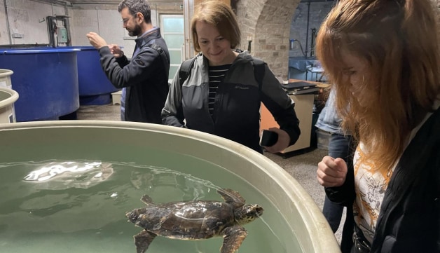 Pula Aquarium visit at PMI retreat